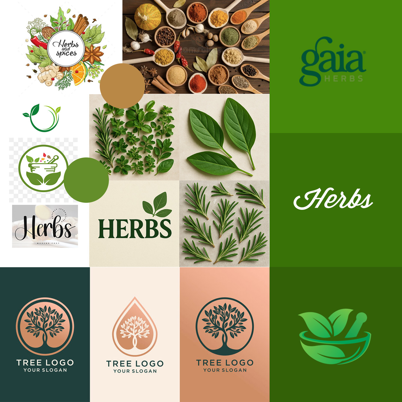 Herbs Moodboard Herbs Moodboard
